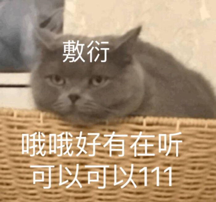 好久不见哇,今日份表情包来啦