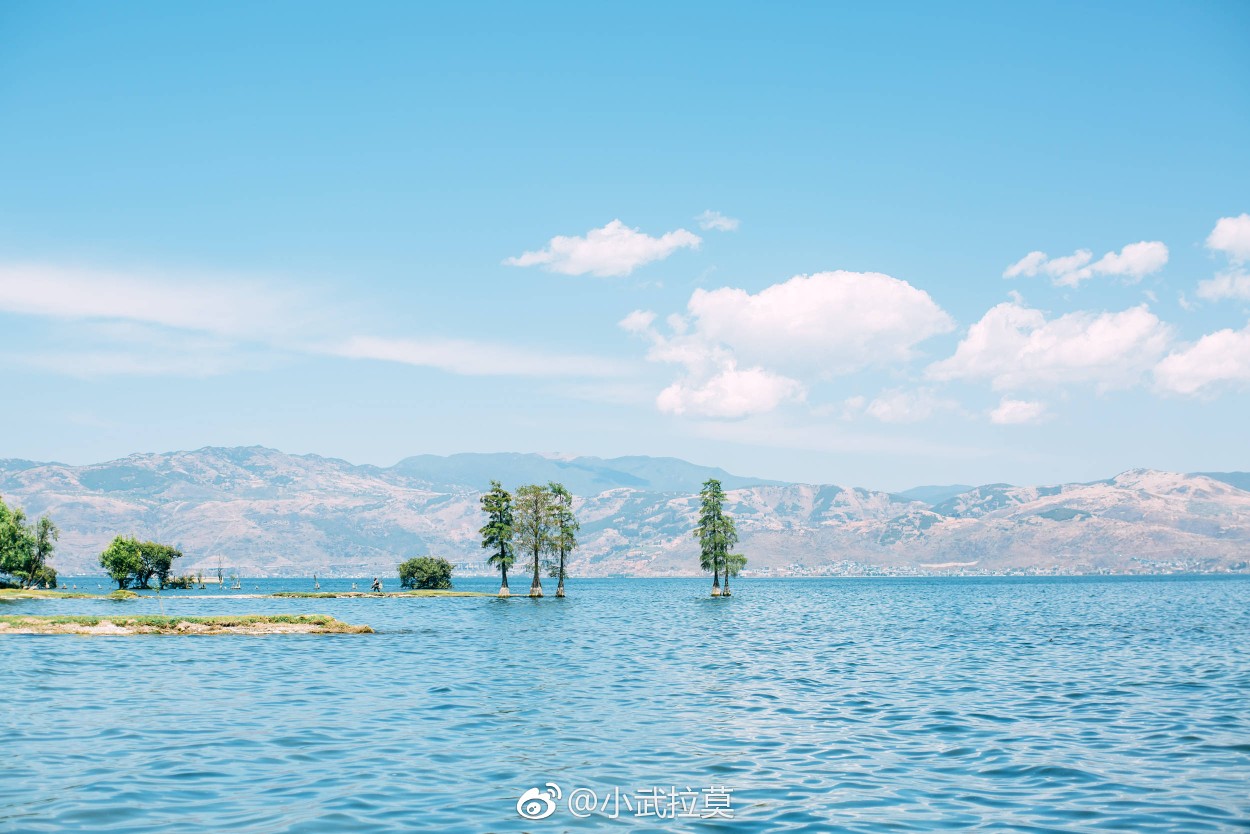 怎么去拥抱一夏天的风摄影@小武拉莫 - 堆糖,美图壁纸