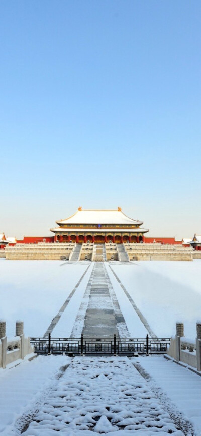 故宫 玉兰 - 堆糖,美图壁纸兴趣社区