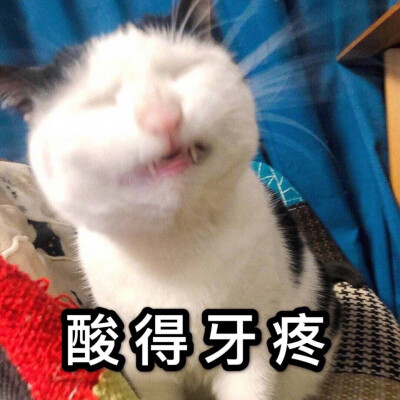 眼睛酸表情包