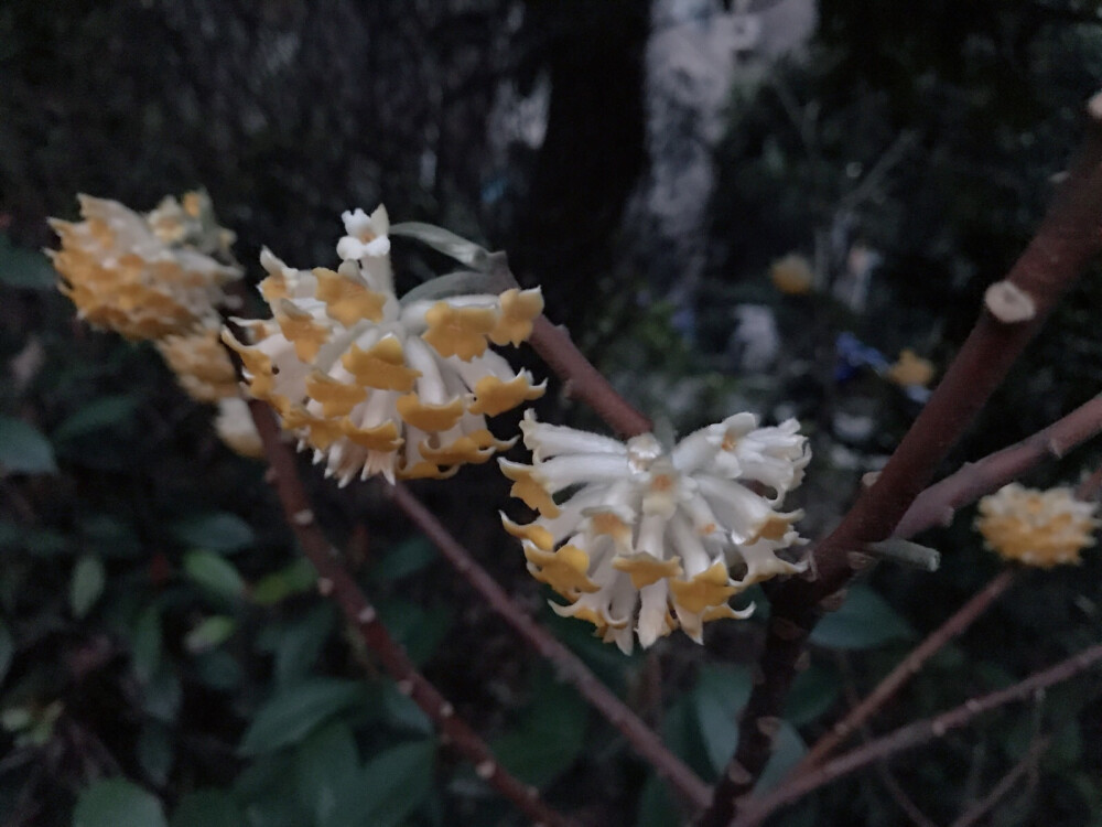 花关注2019年5月1日 17:21南子爅