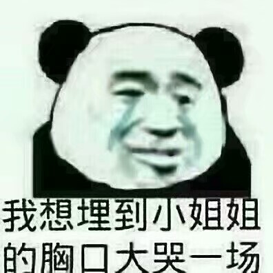 流泪熊猫头
