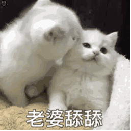 老婆