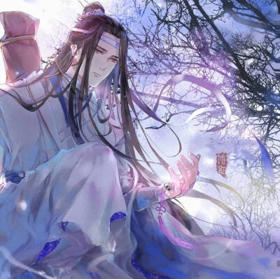 蓝忘机【魔道祖师】