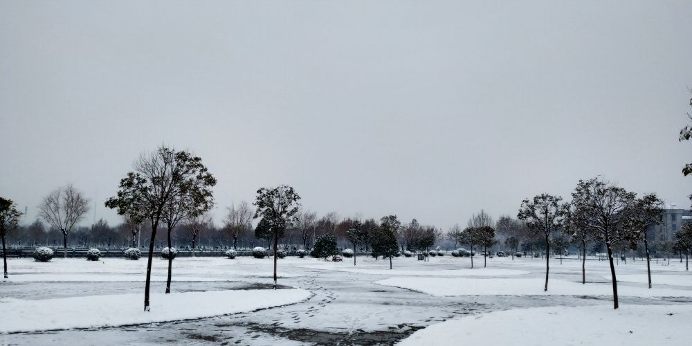 雪景 美 凄凉