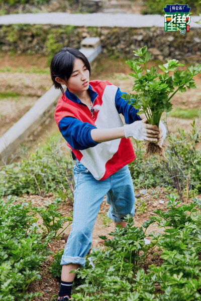 张子枫向往的生活 堆糖,美图壁纸兴趣社区