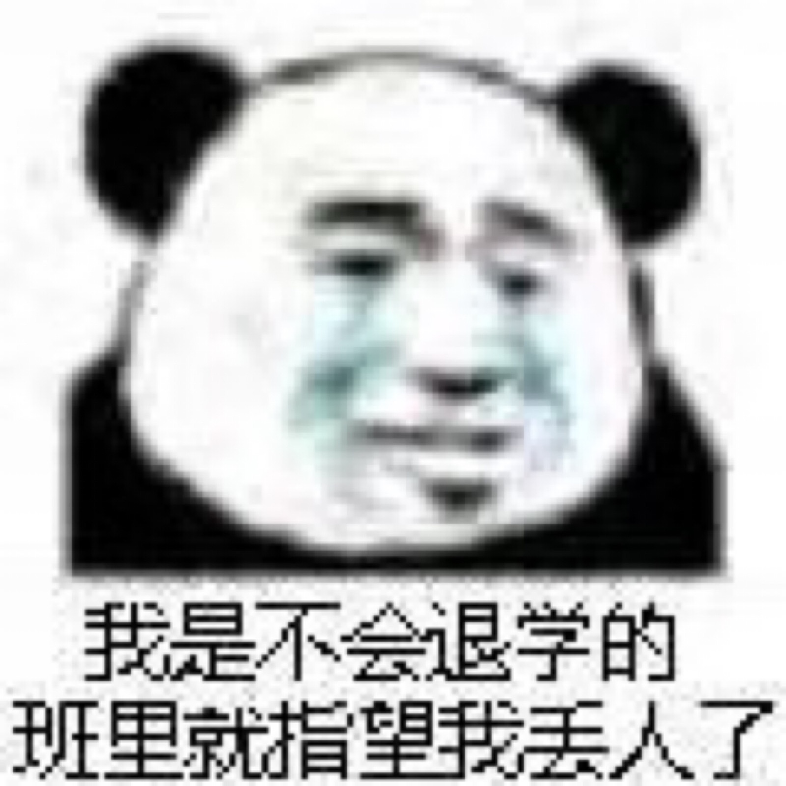 我是不会退学的 班里就指望我丢人了