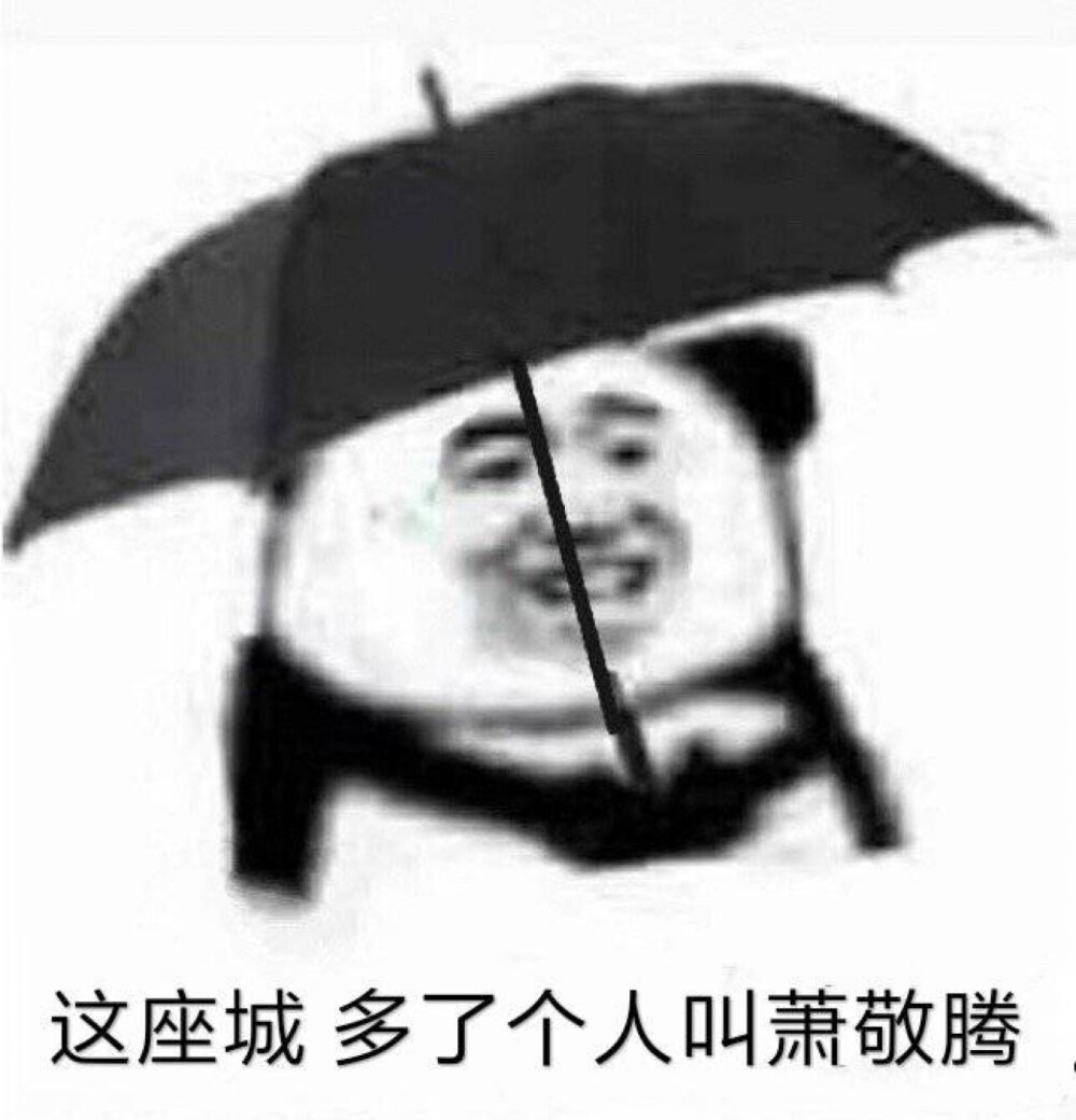 今日份表情包来啦