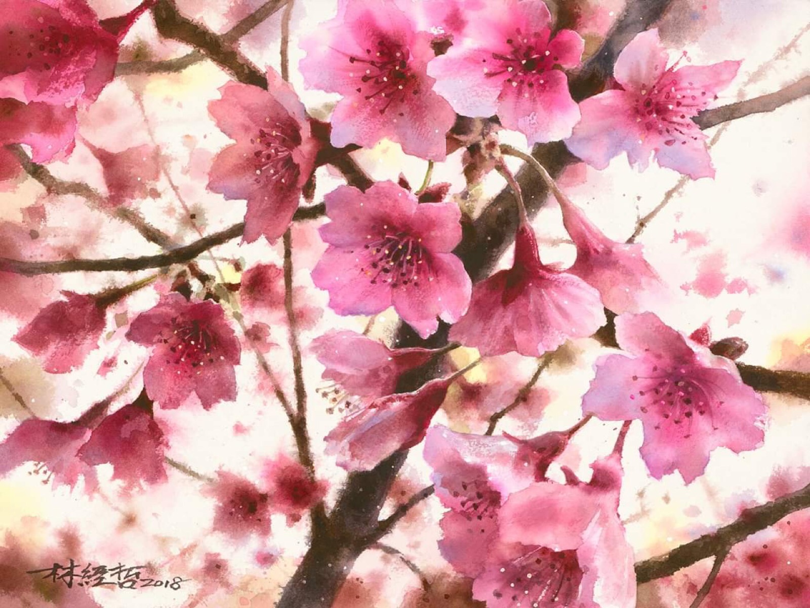 【幸福的樱花树】|纯艺术|水彩|杨雪兔 - 原创作品 - 站酷 (ZCOOL)