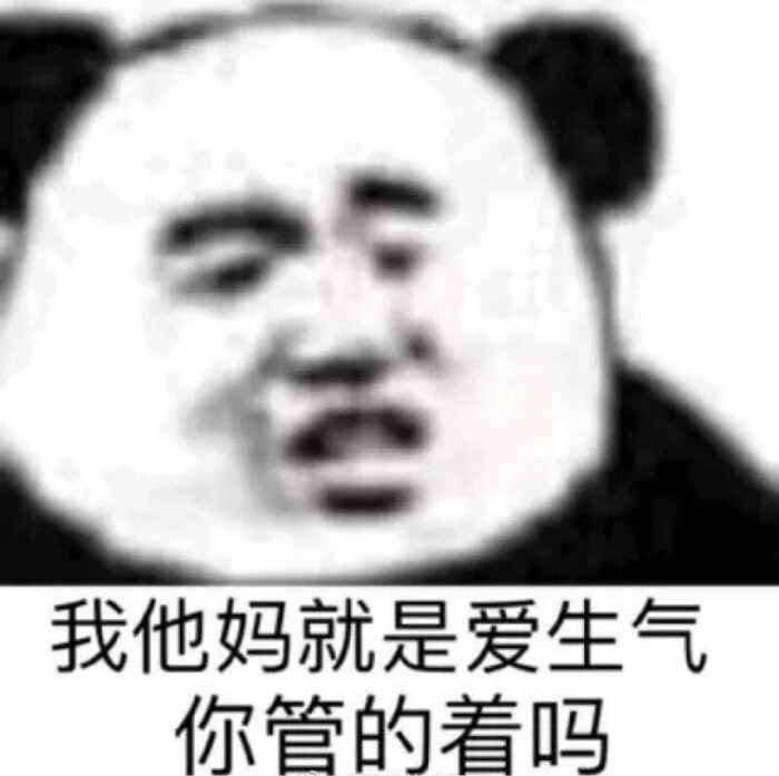 今日份表情包来啦,熊猫头侵权立删 你故意刁难我你他妈少在这妖言惑众