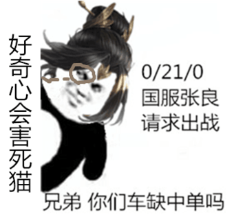 王者荣耀国服上车表情包