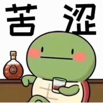 小乌龟太可爱辽曲奇甜点