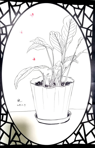 写生植物