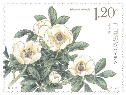 中国邮政在5月11日发行的邮票 芍药 堆糖 美图壁纸兴趣社区