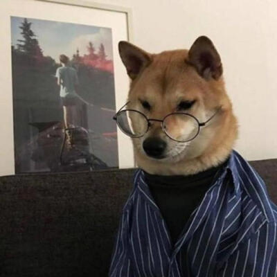 狗狗头像舌头