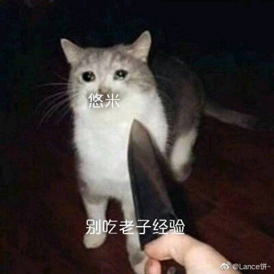 悠米表情包