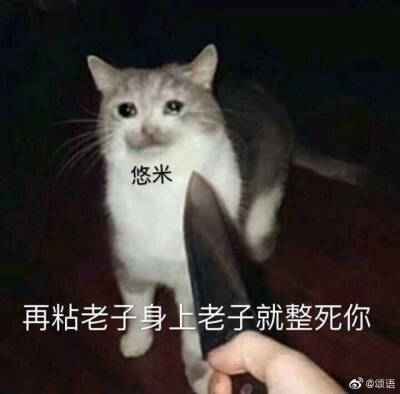 悠米表情包
