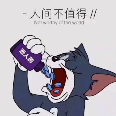 猫和老鼠,人间不值得