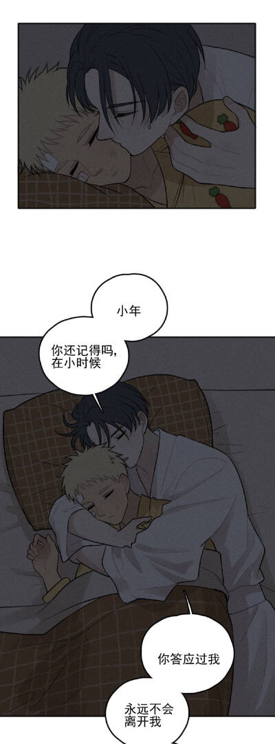 少年记事b/l漫画(作者打了个渔)