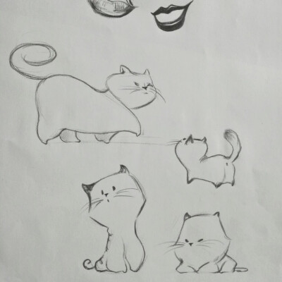 动物 猫咪画法 速写 简笔画