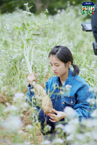 张子枫向往的生活