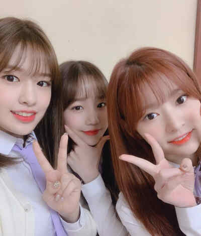 izone/曺柔理/曹柔理/肉粒/仓鼠/小理/主唱/釜山烟嗓/yuri/iz*one