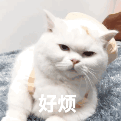 偏爱$表情包