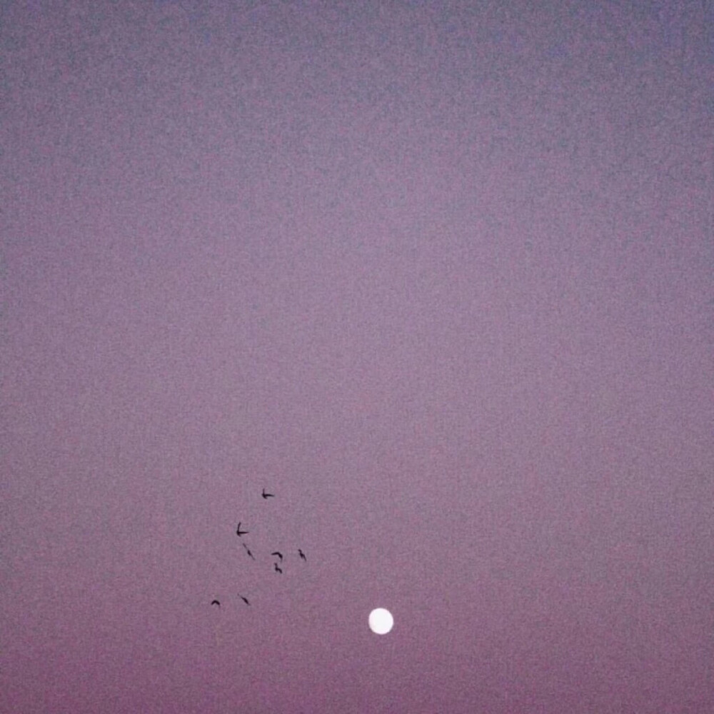 ins背景图