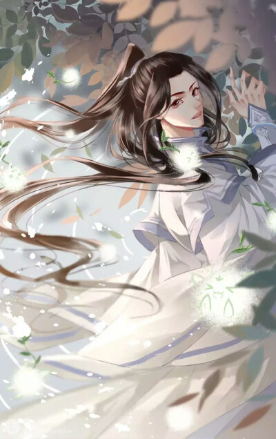 二哈和他的白猫师尊