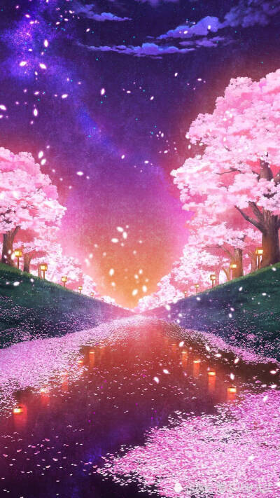 风景 海洋 星空 唯美 壁纸 小清新