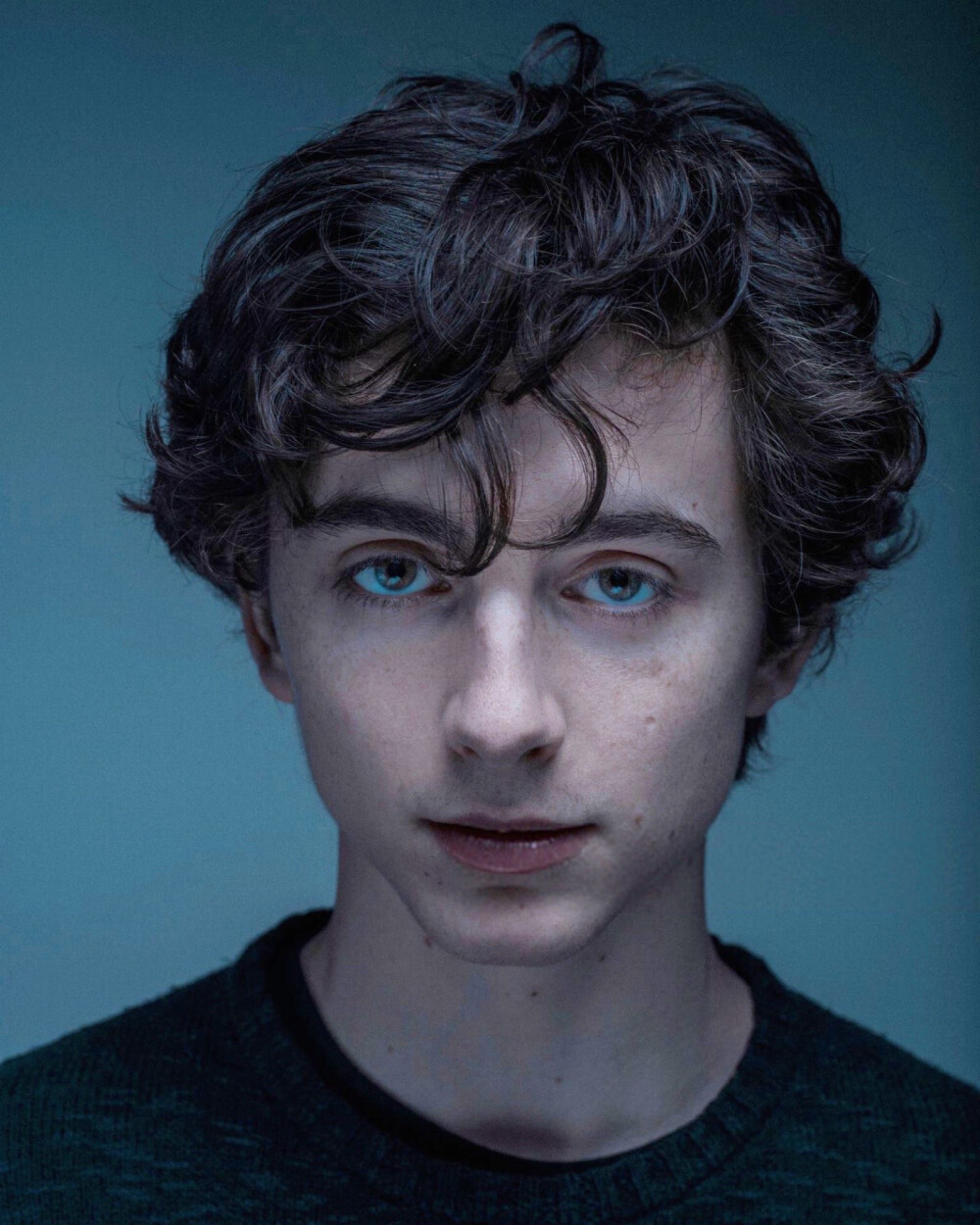 蒂莫西·柴勒梅德timothéechalamet(请以你的名字呼唤