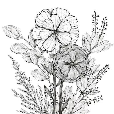 评论  一大波超美的植物和花卉黑白手绘 0 24 6月7号  发布到  线描