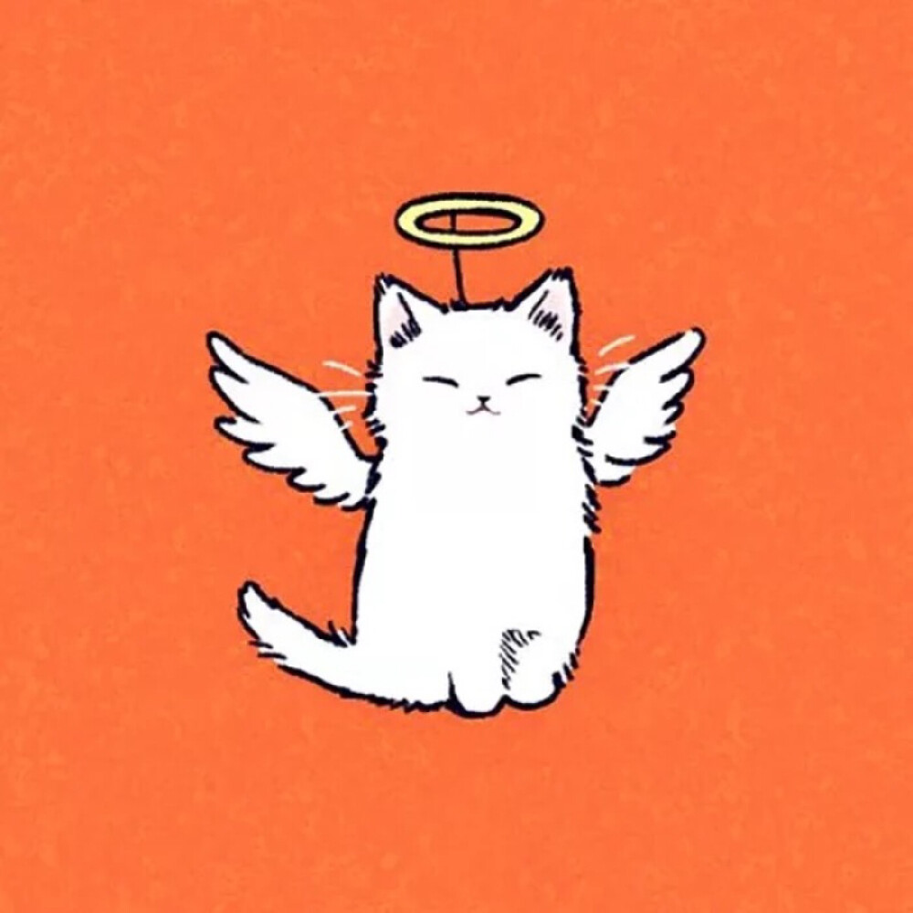 【情侣头像】白猫黑猫天使恶魔