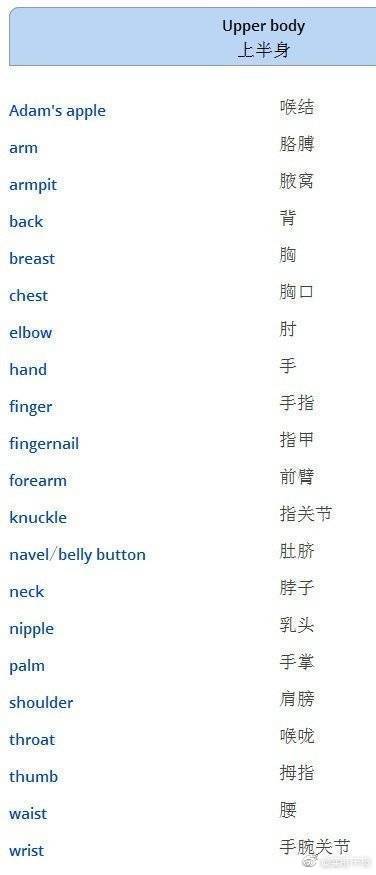 身体部位英语单词卡片 搜狗图片搜索
