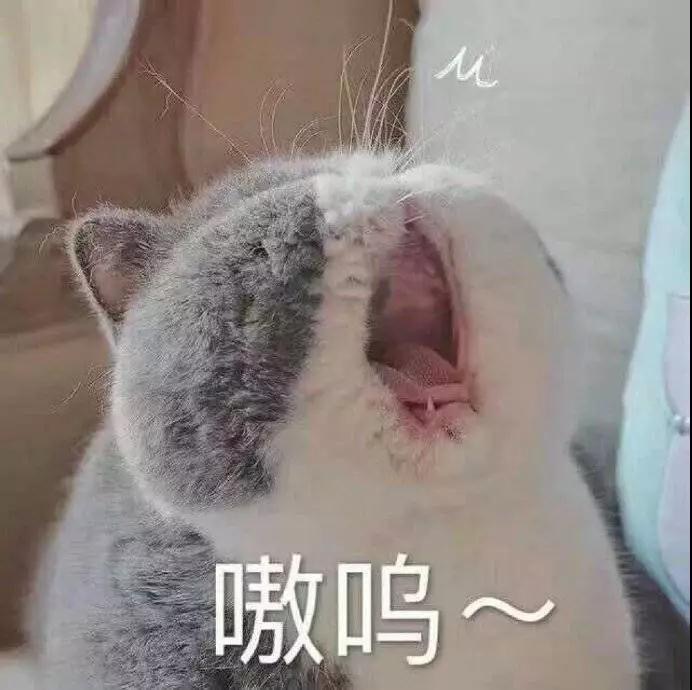 今日份无水印沙雕表情包 点赞暴富