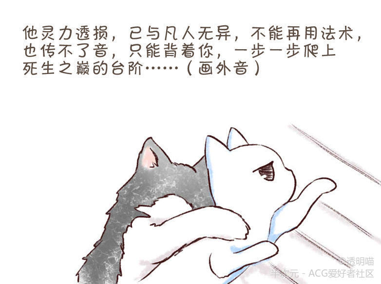 二哈的白猫师尊钢琴曲谱_二哈和他的白猫师尊