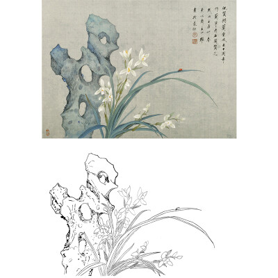 工笔花鸟初级1