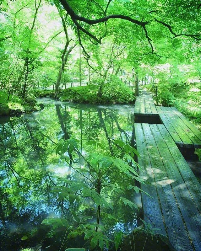 京都的夏天,满足了多少人对日本的幻想