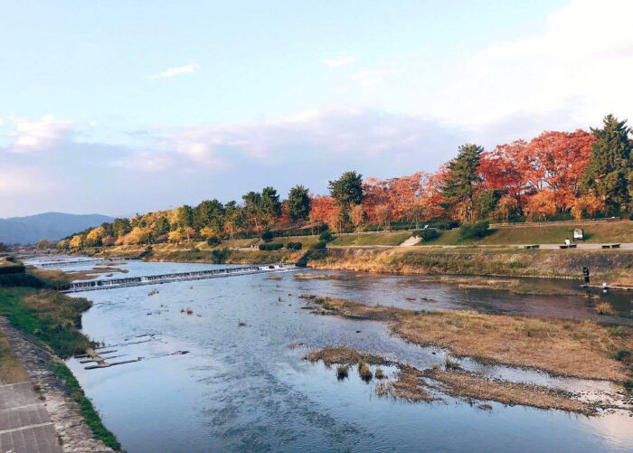 鸭川丨京都的生命河