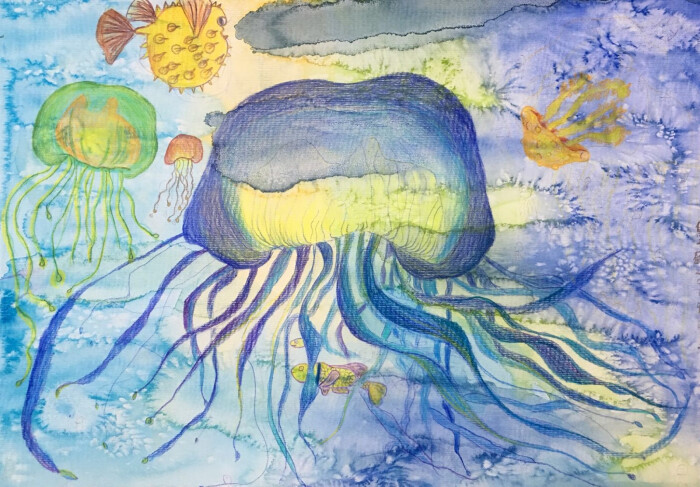 水母