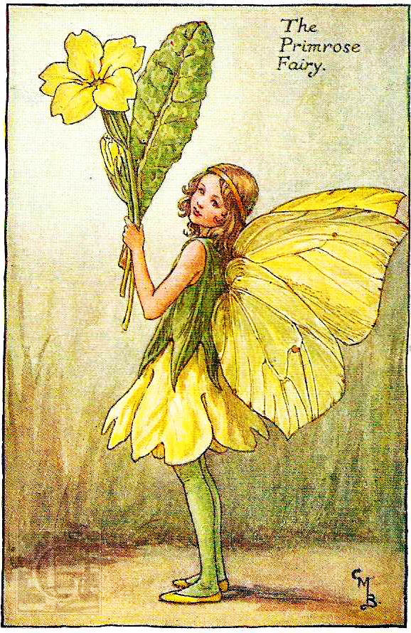 花仙子 flower fairies 作者:cicely mary barker