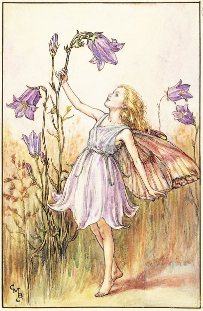 花仙子 flower fairies 作者:cicely mary barker