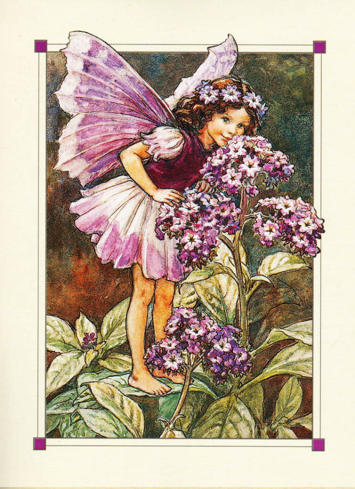 花仙子 flower fairies 作者:cicely mary barker