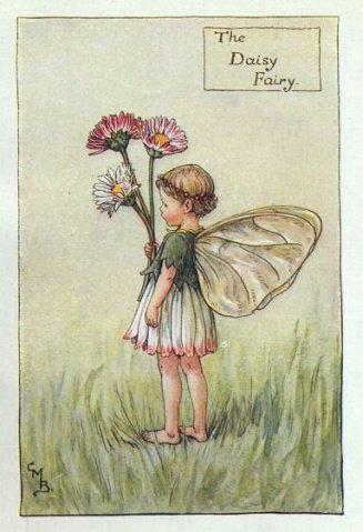 花仙子 flower fairies 作者:cicely mary barker