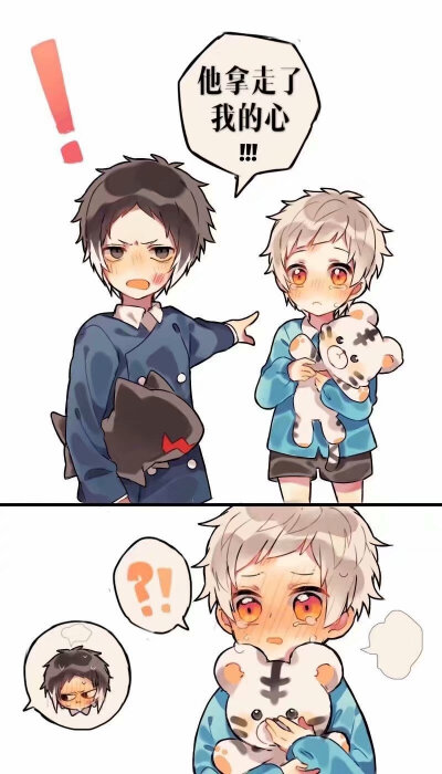 文豪野犬 新双黑