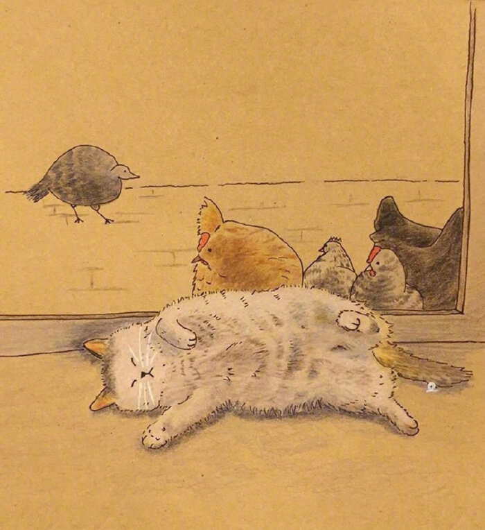 想当一只慵懒的猫