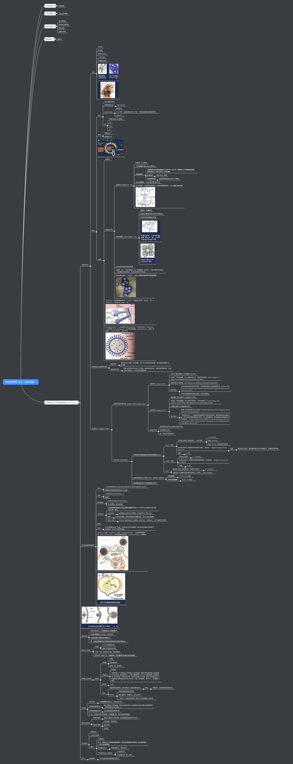 医学微生物学思维导图-呼吸道病毒 - 堆糖,美图壁纸
