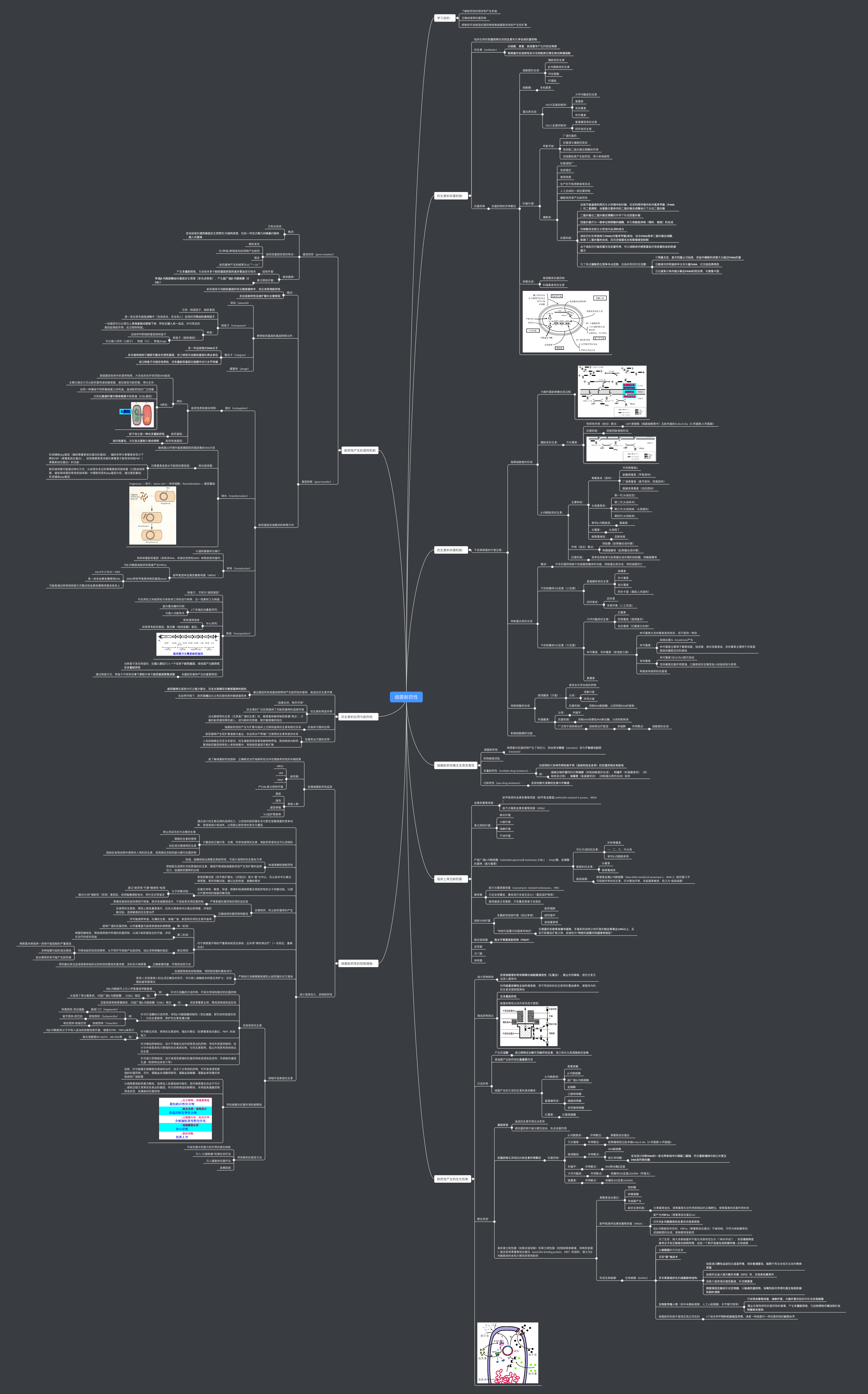 医学微生物学思维导图-细菌的耐药性