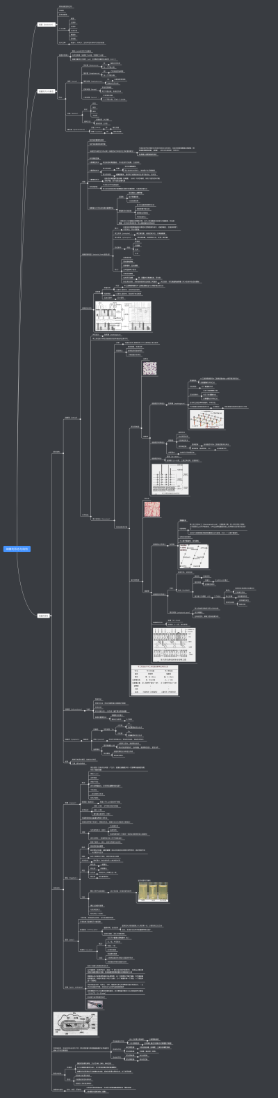 医学微生物学思维导图-细菌形态与结构