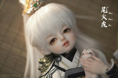 「尾火虎」sd娃娃 bjd 玩具 人偶 壁纸 萌物